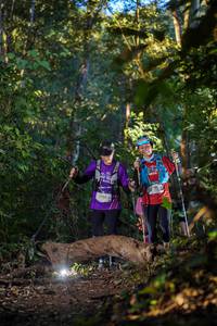 BIB: 3246
                            <button type="button" onclick="openModal(19245133)" class="btn btn-primary btn-sm float-right btn-popup" data-toggle="modal" data-target=".modal-high-quality">
                        <i class="fas fa-shopping-cart"></i> Add to Cart
                    </button>
                                            <button type="button" onclick="isThisMe(19245133, true)" class="btn btn-success btn-sm float-right btn-popup btn-isme hidden" data-toggle="tooltip" data-placement="bottom" title="นี่คือรูปของคุณใช่ไหม คลิกที่นี่เพื่อเอาเข้าอัลบั้ม">
                        <i class="fas fa-plus"></i> Add to album
                    </button>
                    <button type="button" onclick="isThisMe(19245133, false)" class="btn btn-warning btn-sm float-right btn-popup btn-isnotme hidden">
                        <i class="fas fa-ban"></i> Remove from album
                    </button>